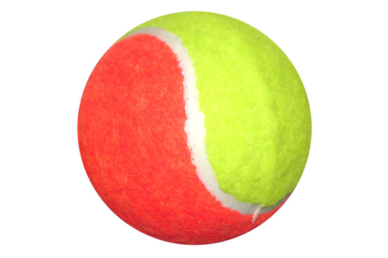 Cricket Ball Manufacturers India Cricket Ball Suppliers in India