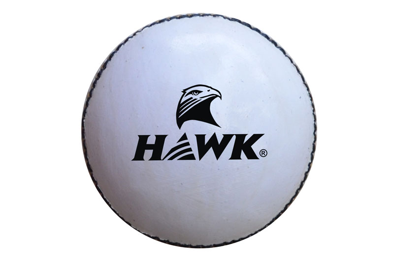 Cricket Ball Manufacturers India Cricket Ball Suppliers in India