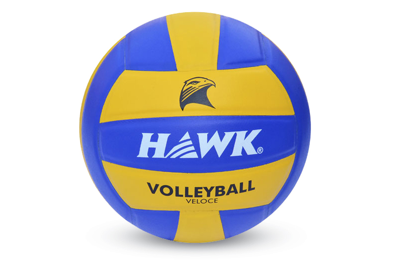 Volleyball Manufacturer in India Volleyball Suppliers India